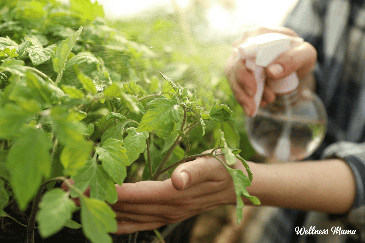 natural pesticides