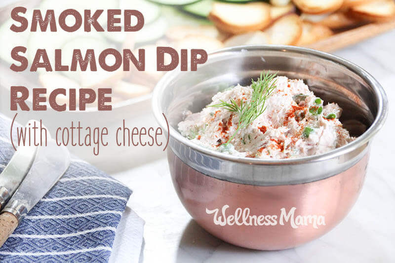 Smoked Salmon Dip Recipe (With Cottage Cheese)